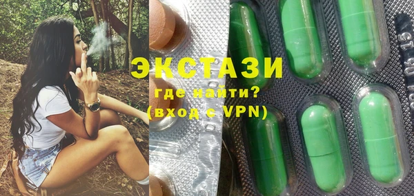 индика Горняк