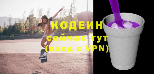 индика Горняк