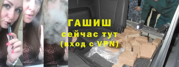 индика Горняк