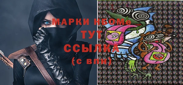 индика Горняк