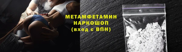 сатива Горнозаводск