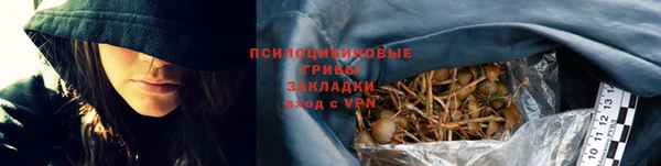 индика Горняк