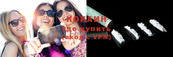 сатива Горнозаводск