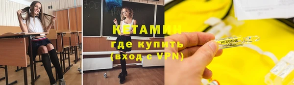 индика Горняк