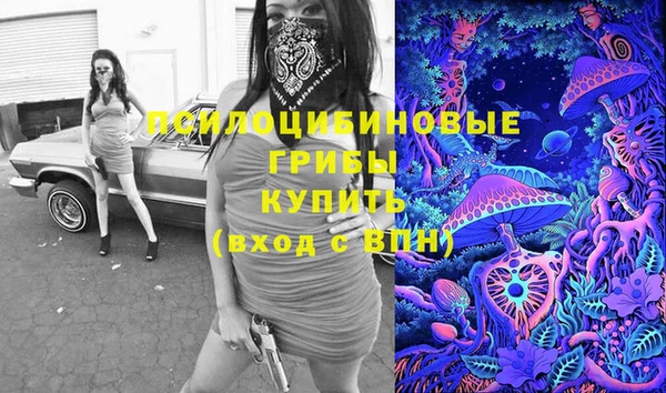 ПСИЛОЦИБИНОВЫЕ ГРИБЫ Гусев