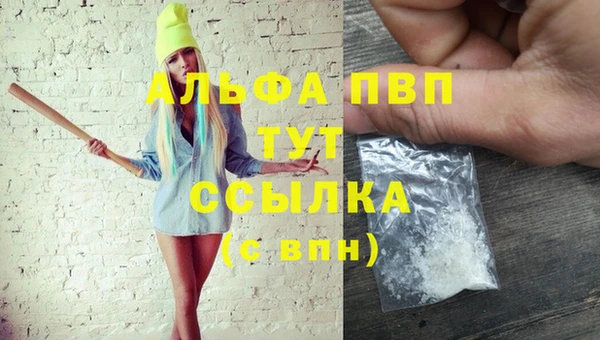 дурь Гусиноозёрск
