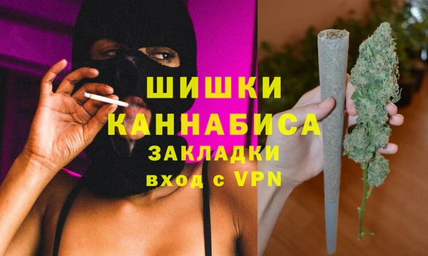 ПСИЛОЦИБИНОВЫЕ ГРИБЫ Гусев