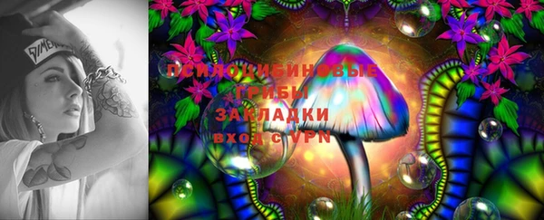дурь Гусиноозёрск