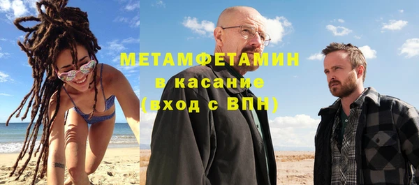 индика Горняк