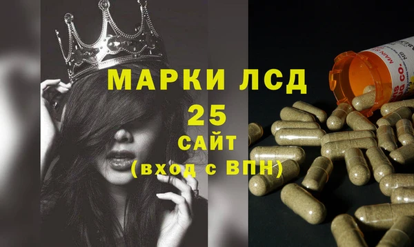 ПСИЛОЦИБИНОВЫЕ ГРИБЫ Гусев