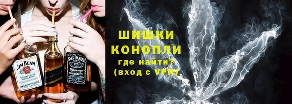 индика Горняк