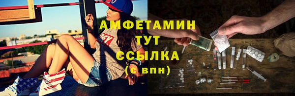 индика Горняк